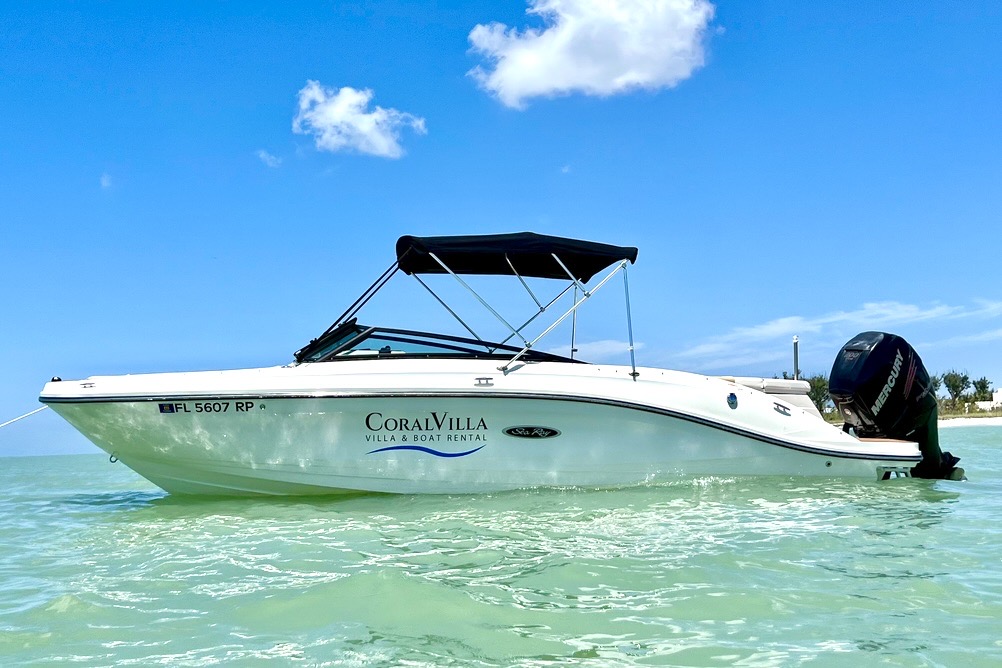 Sea Ray SPX 230